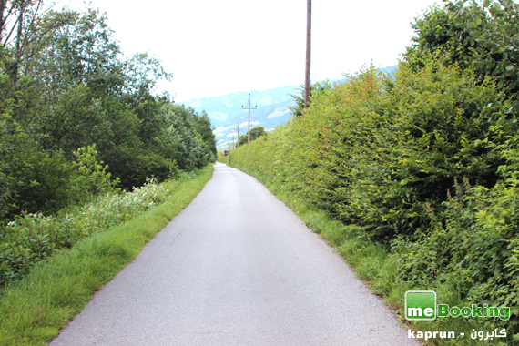 صور كابرون زيلامسي