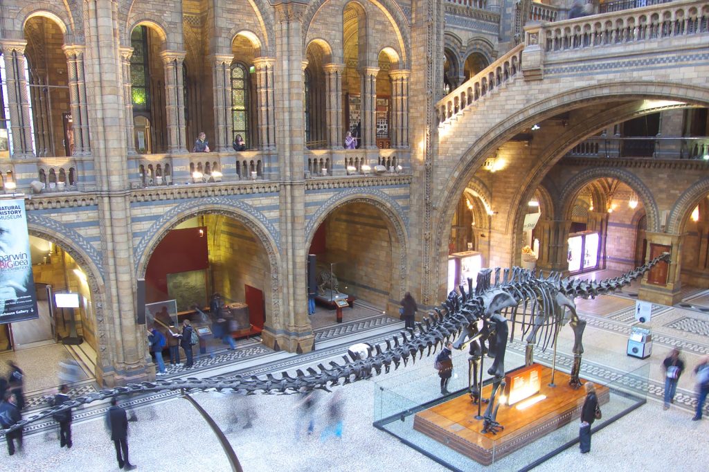natural history museum london
