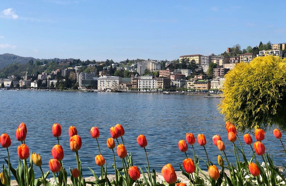 لوغانو : جوهرة سويسرا الجنوبية Lugano